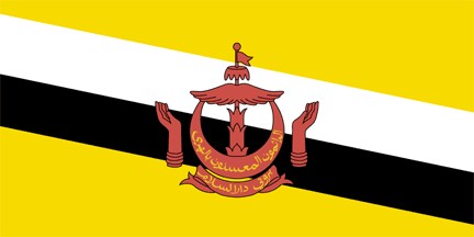 .com.bn文莱域名